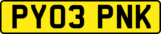 PY03PNK