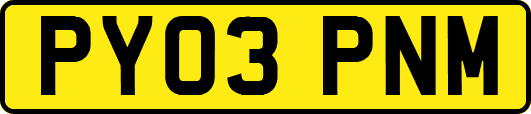 PY03PNM