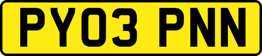 PY03PNN
