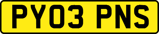 PY03PNS