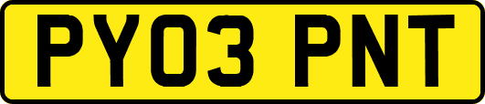 PY03PNT