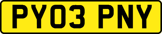 PY03PNY