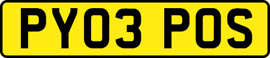 PY03POS