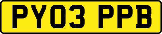 PY03PPB