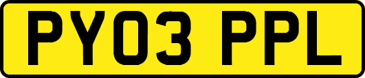 PY03PPL