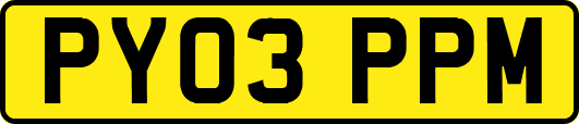 PY03PPM
