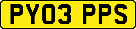 PY03PPS