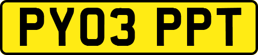 PY03PPT