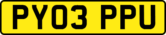 PY03PPU