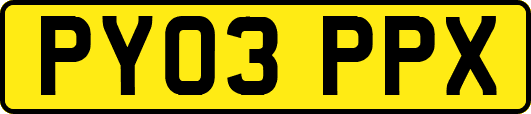 PY03PPX