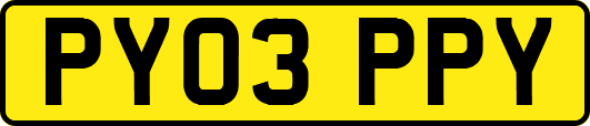 PY03PPY