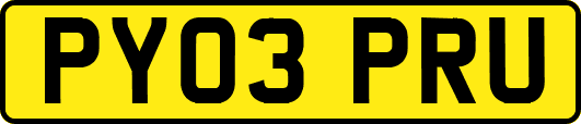 PY03PRU