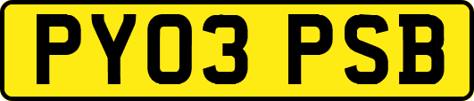 PY03PSB
