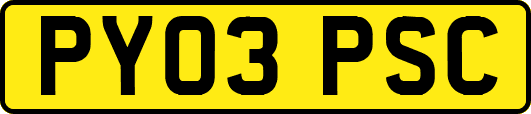 PY03PSC