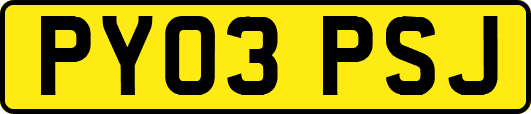 PY03PSJ