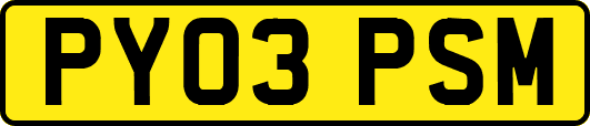 PY03PSM