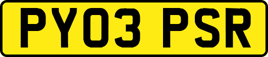 PY03PSR