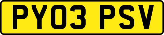 PY03PSV