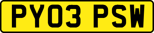 PY03PSW