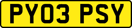 PY03PSY