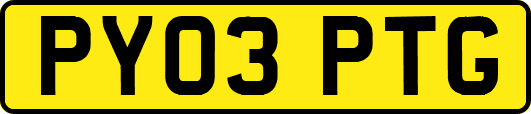 PY03PTG