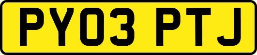 PY03PTJ