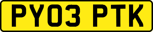 PY03PTK