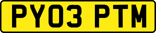 PY03PTM
