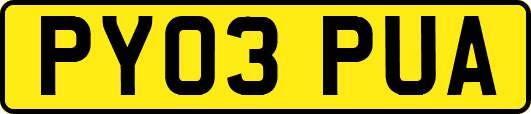 PY03PUA