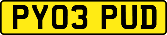 PY03PUD