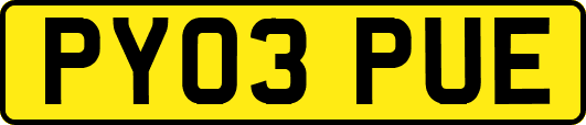 PY03PUE