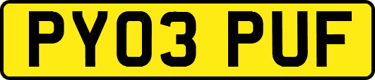 PY03PUF