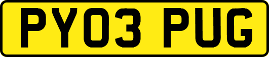 PY03PUG