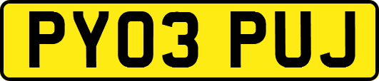 PY03PUJ
