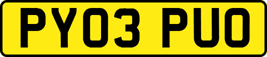 PY03PUO