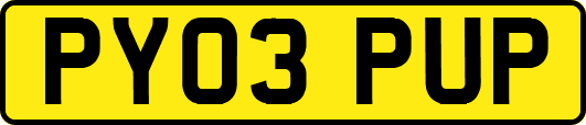 PY03PUP