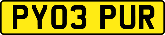 PY03PUR