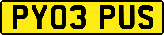 PY03PUS