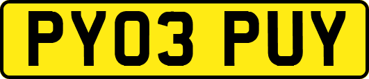 PY03PUY