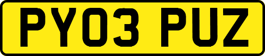 PY03PUZ