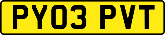 PY03PVT