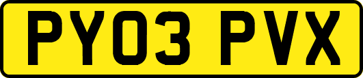 PY03PVX