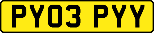 PY03PYY