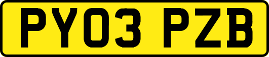 PY03PZB