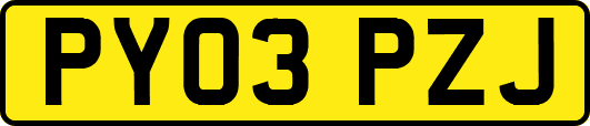 PY03PZJ