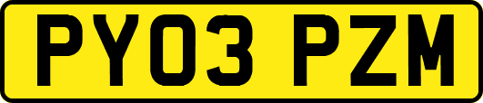 PY03PZM