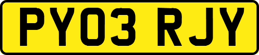 PY03RJY