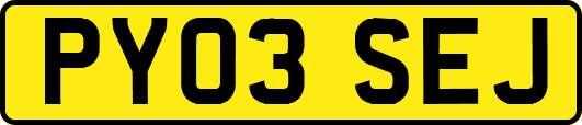 PY03SEJ