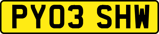 PY03SHW