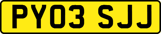 PY03SJJ